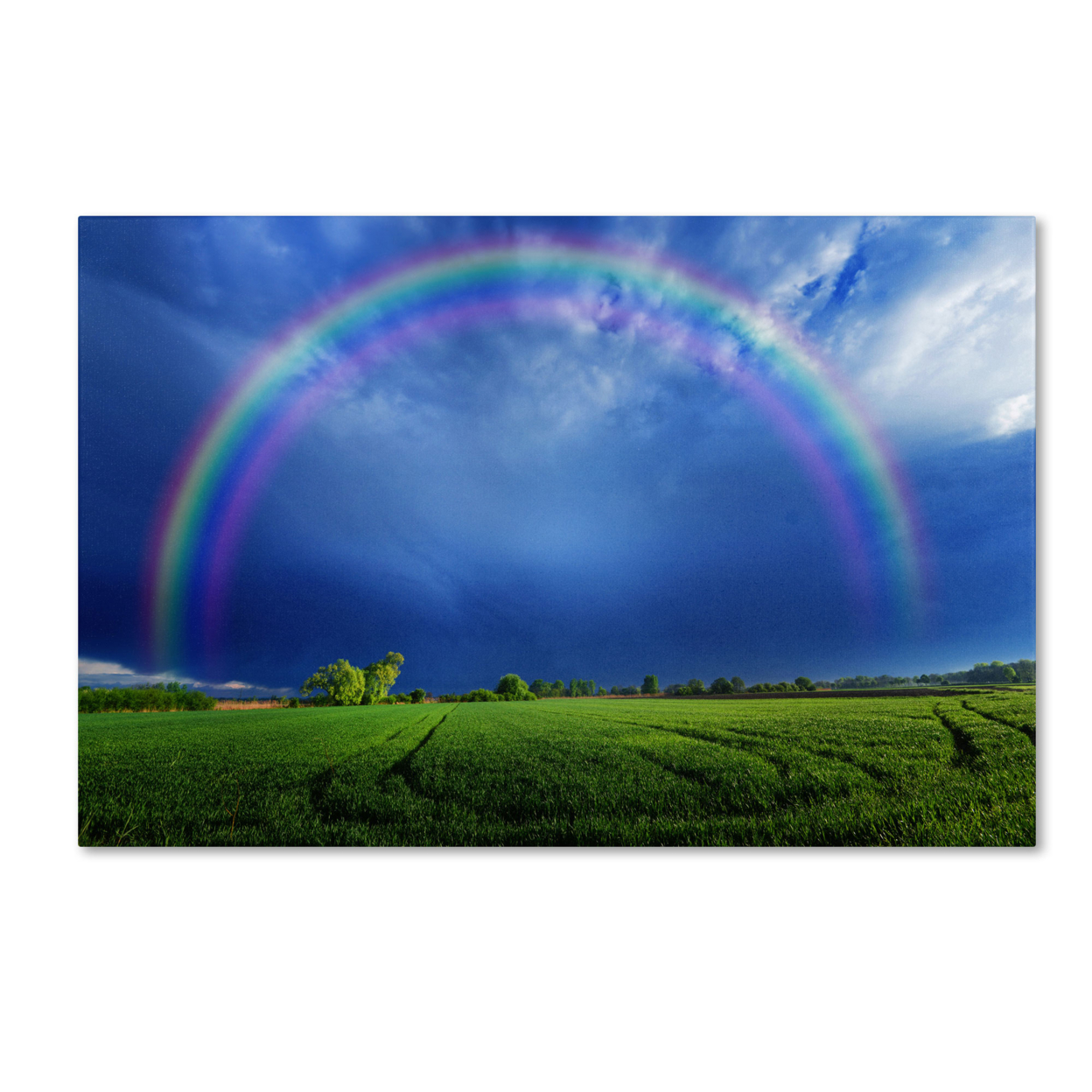 Philippe Sainte-Laudy 'Lucky Rainbow' Canvas Art 16 X 24