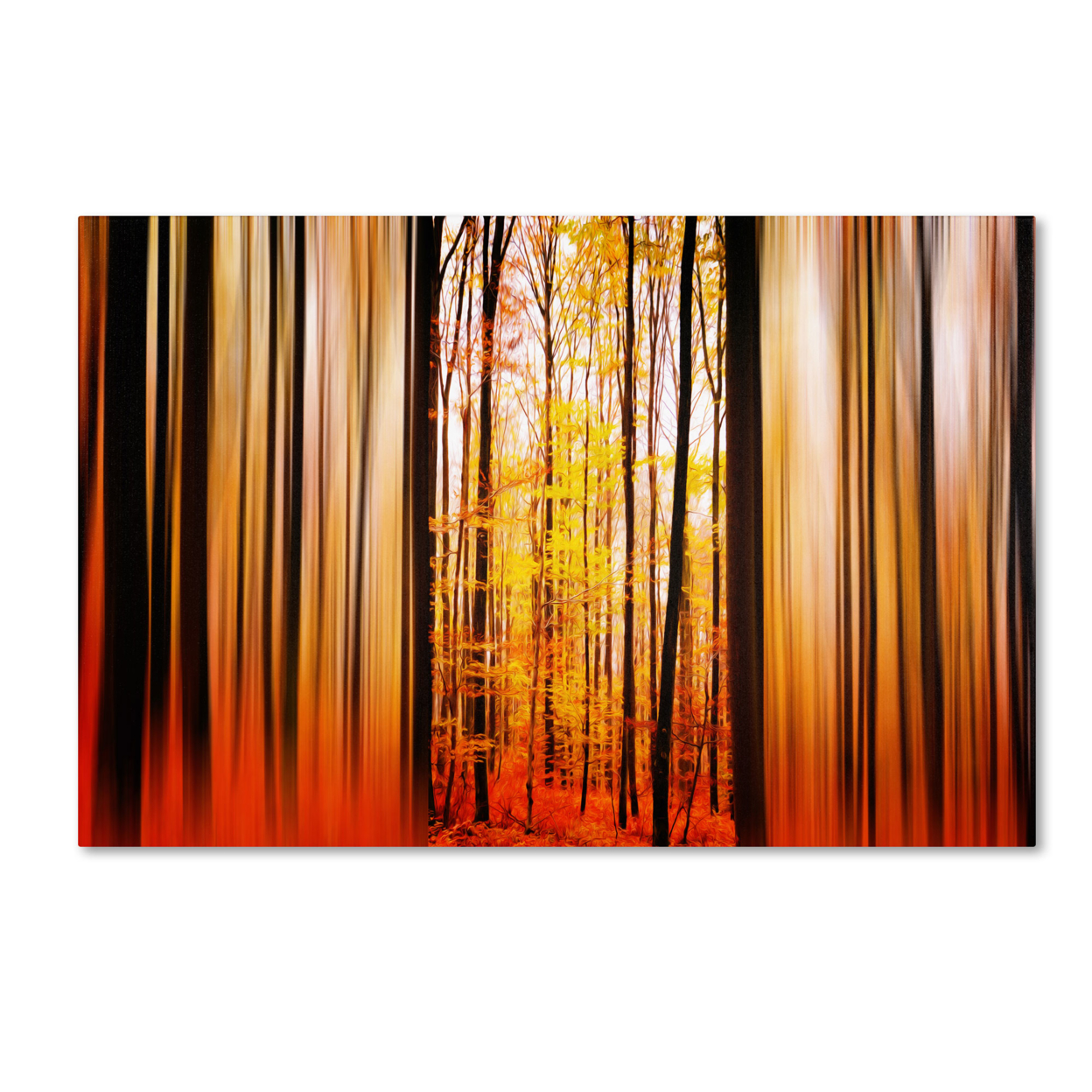 Philippe Sainte-Laudy 'Excited Oxygen' Canvas Art 16 X 24
