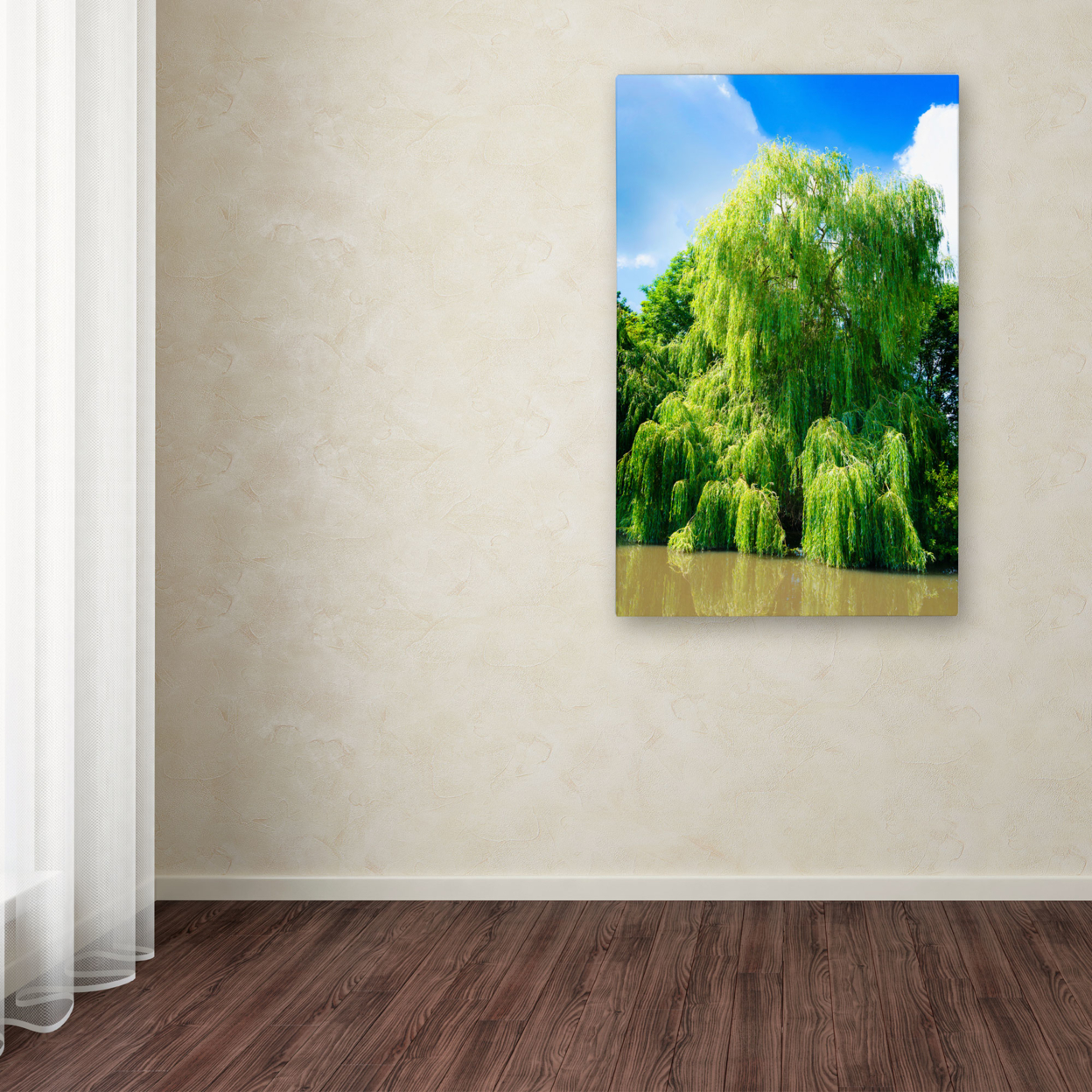 Philippe Sainte-Laudy 'Weeping Willow' Canvas Art 16 X 24