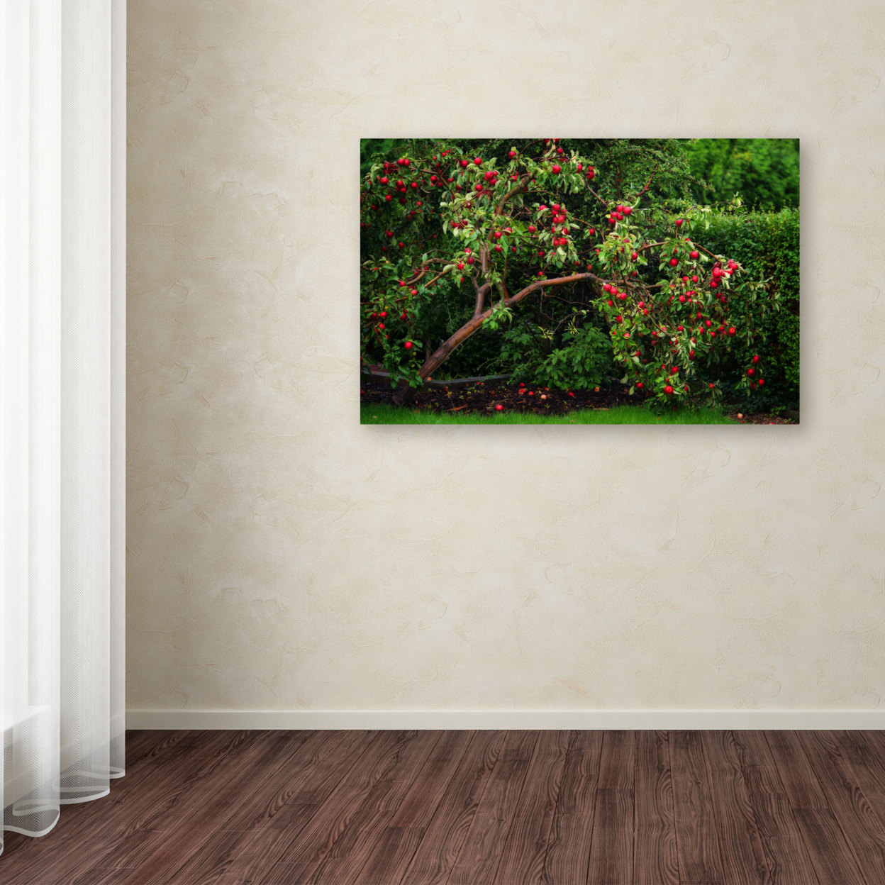 Philippe Sainte-Laudy 'The Apple Tree' Canvas Art 16 X 24
