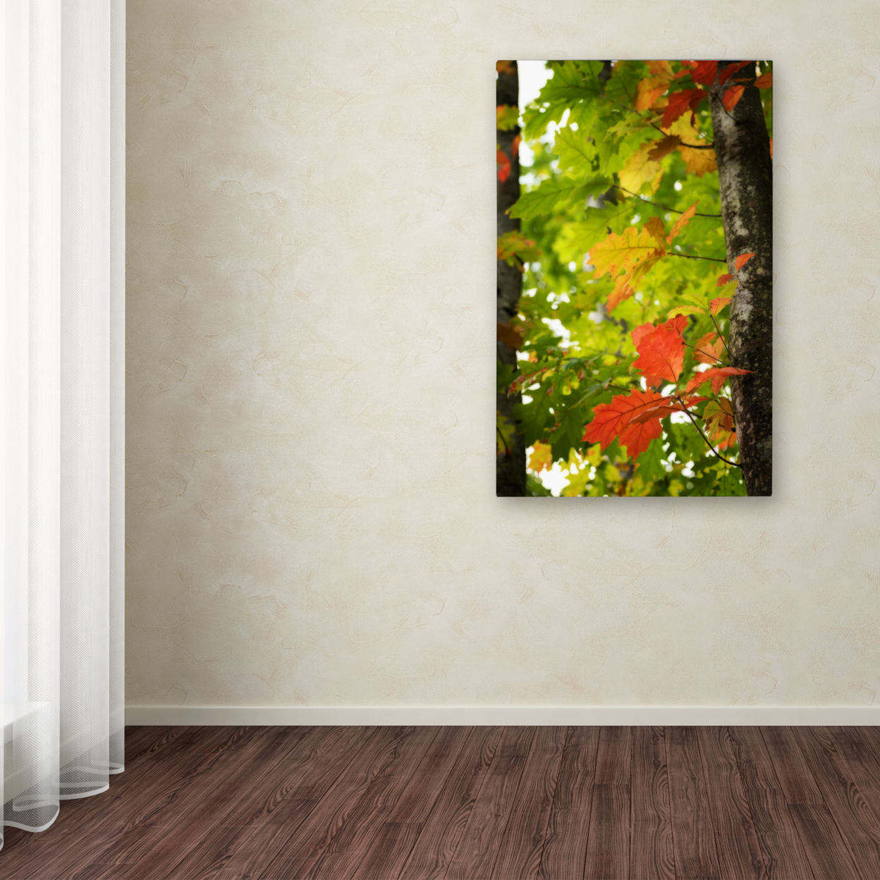 Philippe Sainte-Laudy 'Oak Leaves' Canvas Art 16 X 24