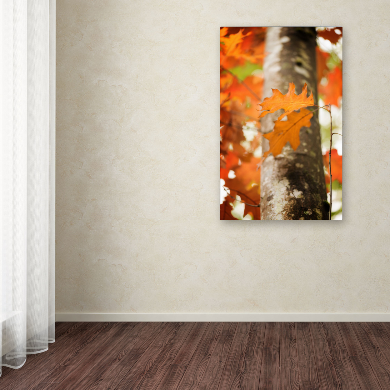Philippe Sainte-Laudy 'Oak In Autumn' Canvas Art 16 X 24