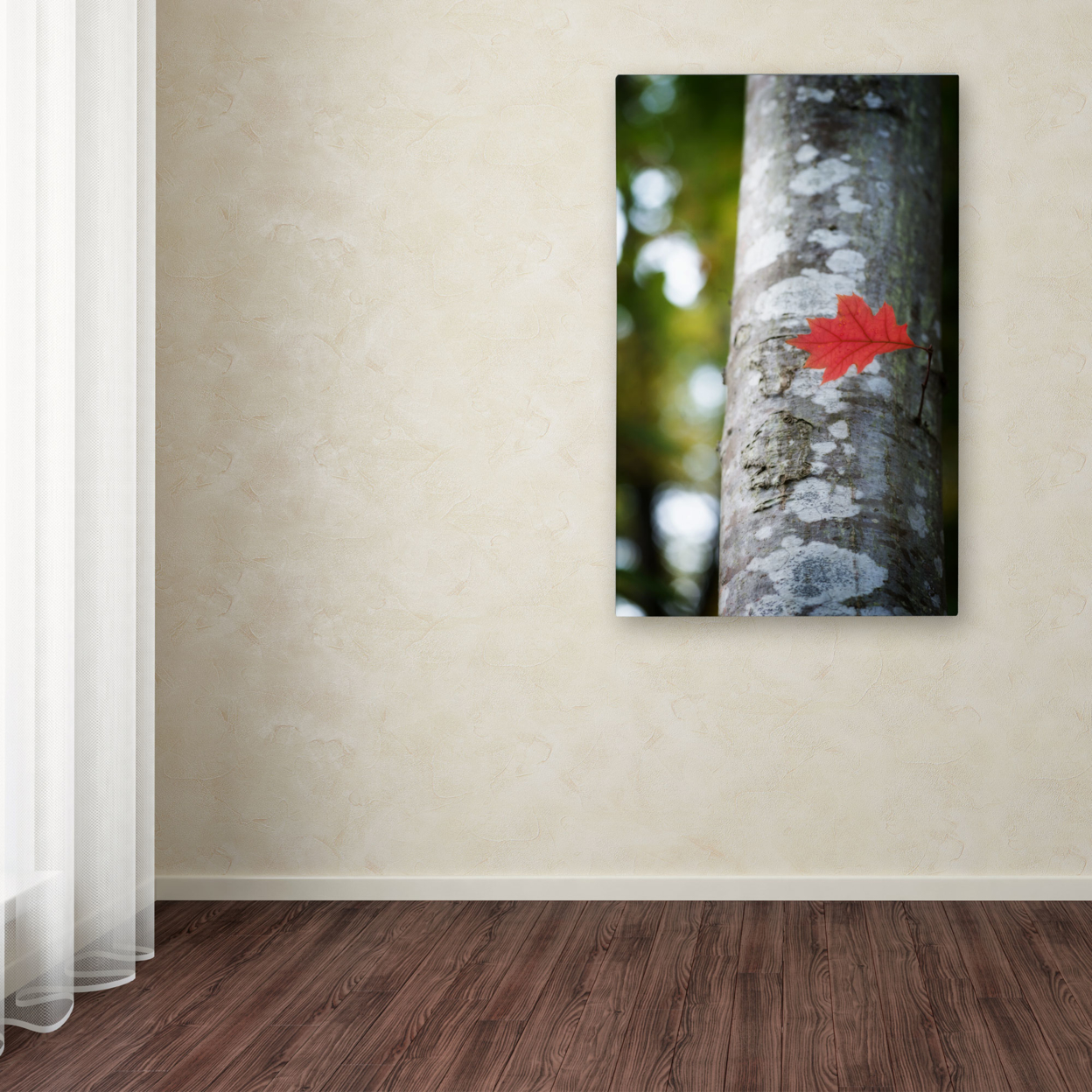 Philippe Sainte-Laudy 'Solitary Red Leaf' Canvas Art 16 X 24