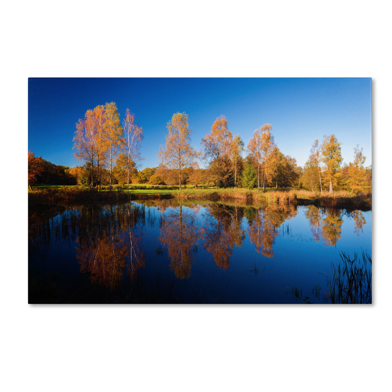Philippe Sainte-Laudy 'Colors Of October' Canvas Art 16 X 24