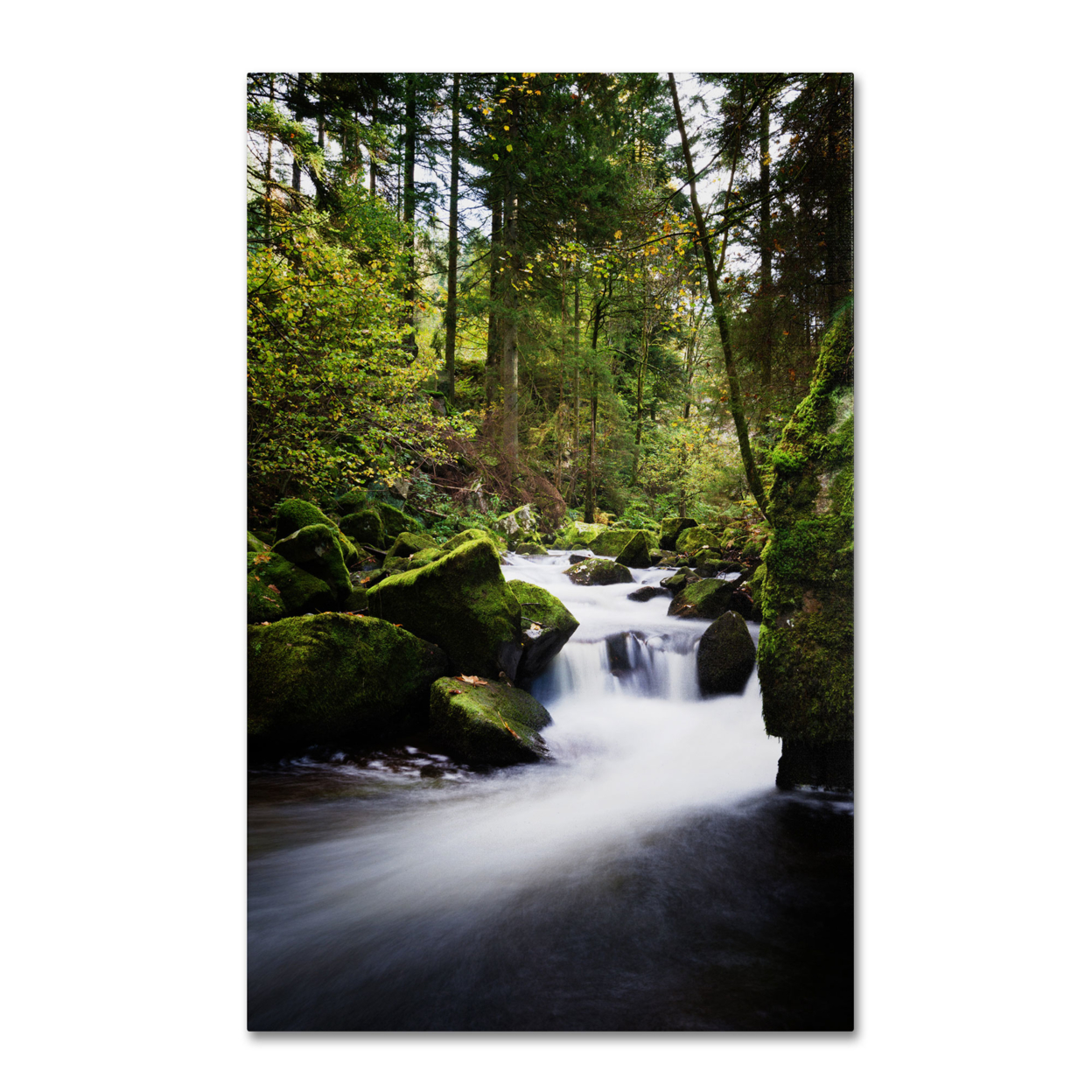 Philippe Sainte-Laudy 'Waterfall In The Forest' Canvas Art 16 X 24