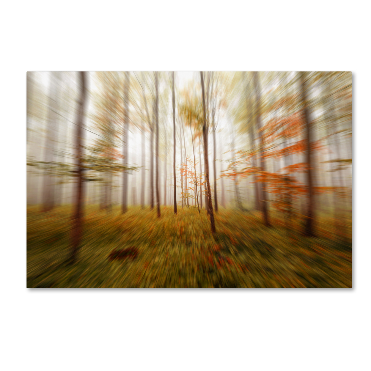Philippe Sainte-Laudy 'Autumn Go Fast' Canvas Art 16 X 24