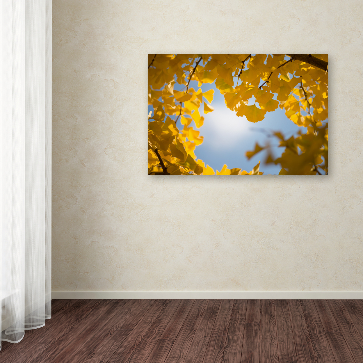 Philippe Sainte-Laudy 'Ginkgo Leaves In Autumn' Canvas Art 16 X 24
