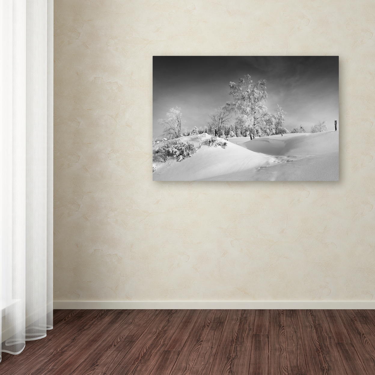 Philippe Sainte-Laudy 'Dressed For Winter B&W' Canvas Art 16 X 24