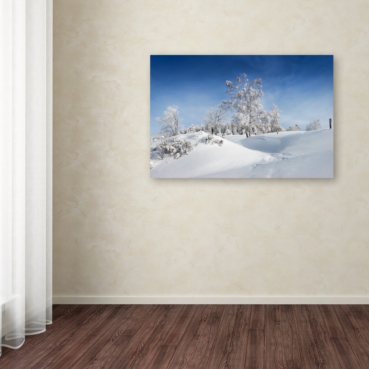 Philippe Sainte-Laudy 'Dressed For Winter' Canvas Art 16 X 24