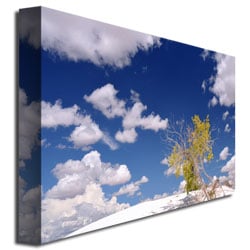 Philippe Sainte Laudy 'Clouds And Loneliness' Canvas Art 16 X 24