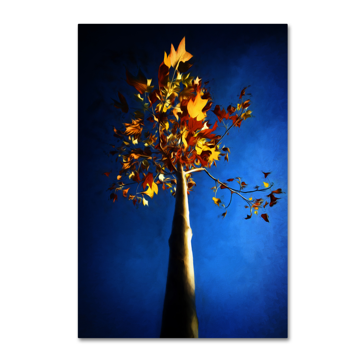 Philippe Sainte-Laudy 'Blue Autumn' Canvas Art 16 X 24