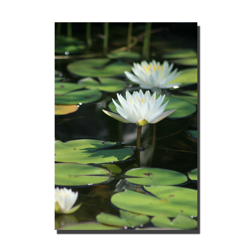 Patty Tuggle 'Lovely Lilies' Canvas Art 16 X 24