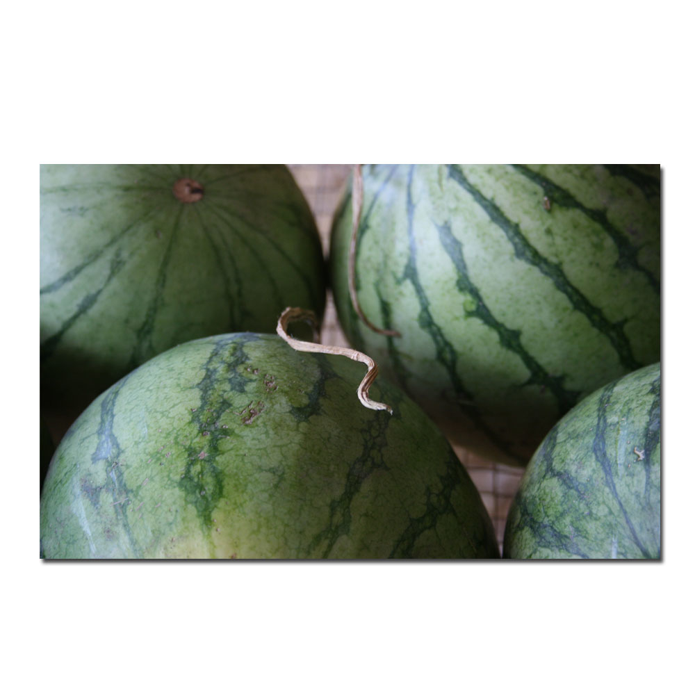 Patty Tuggle 'Summer Watermelons' Canvas Art 16 X 24