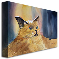 Ryan Radke 'Fat Cat' Canvas Art 16 X 24