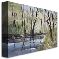 Ryan Radke 'Pine River Reflections' Canvas Art 16 X 24