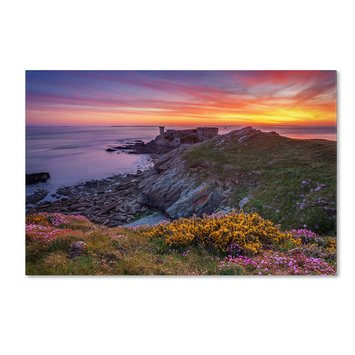 Mathieu Rivrin 'Brittany In Flowers' Canvas Art 16 X 24