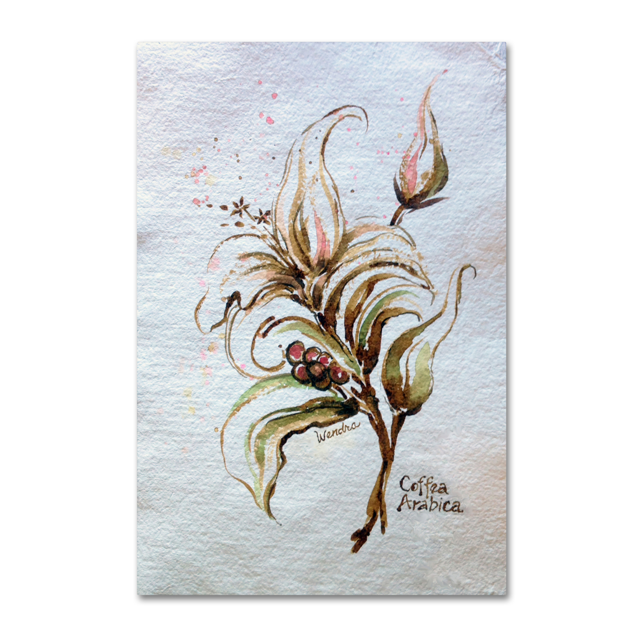 Wendra 'Coffea Arabica' Canvas Art 16 X 24