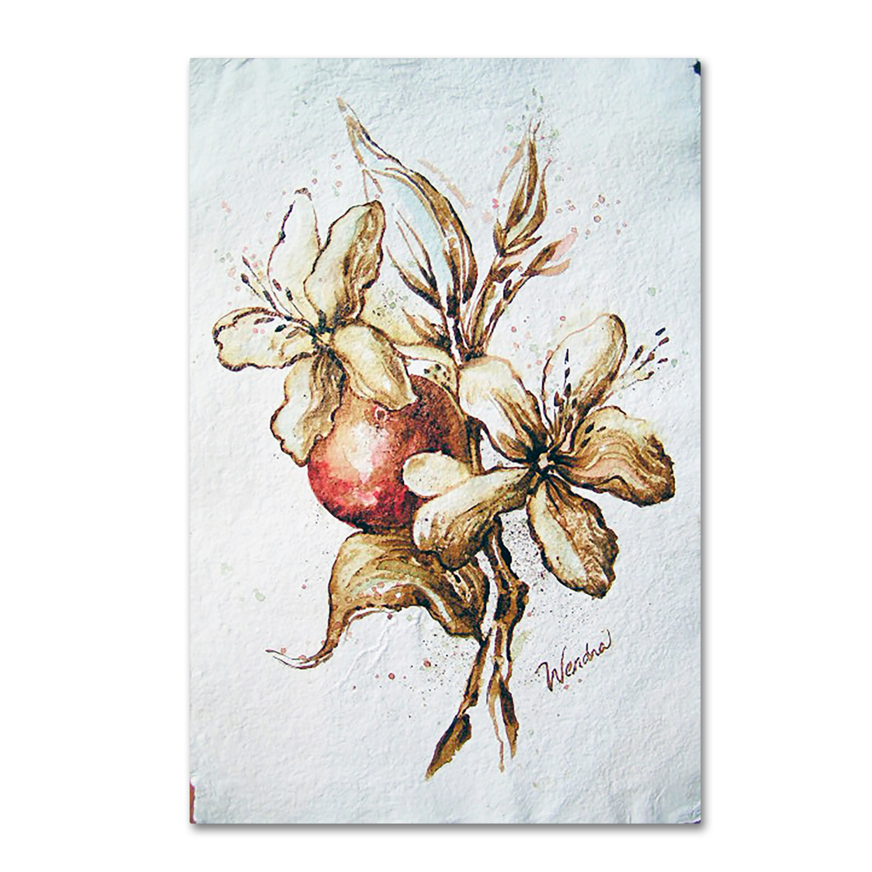 Wendra 'Coffee Flower And Bean' Canvas Art 16 X 24