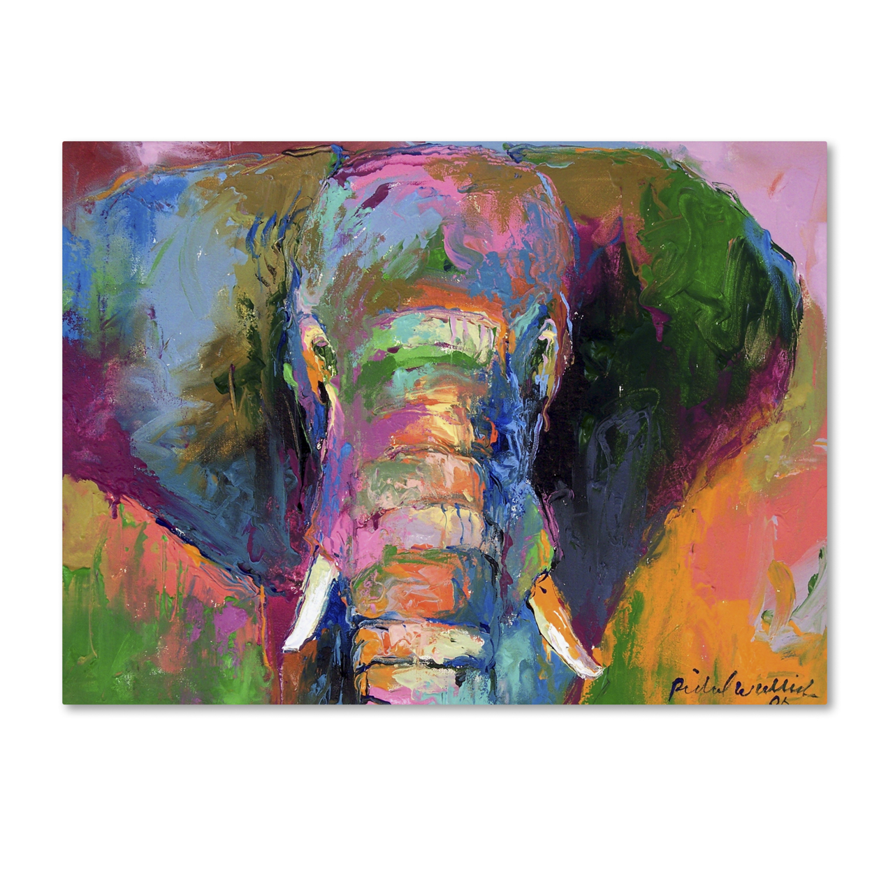 Richard Wallich 'Elephant 2' Canvas Art 18 X 24