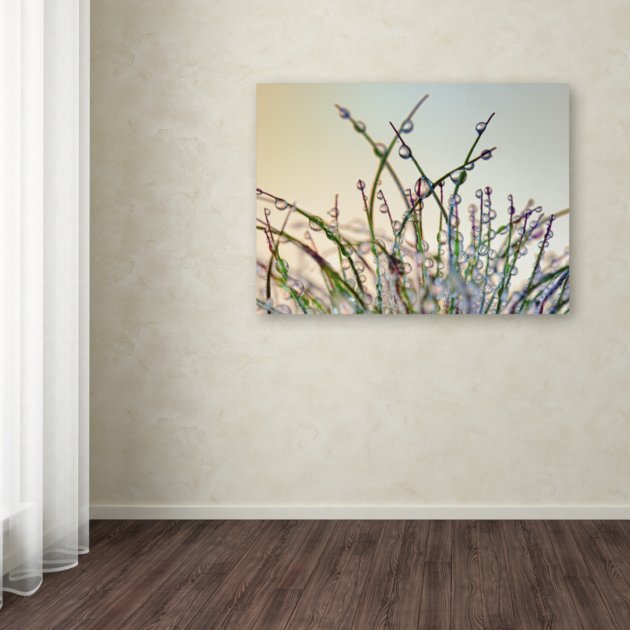 Cora Niele 'Dewy Grass' Canvas Art 18 X 24