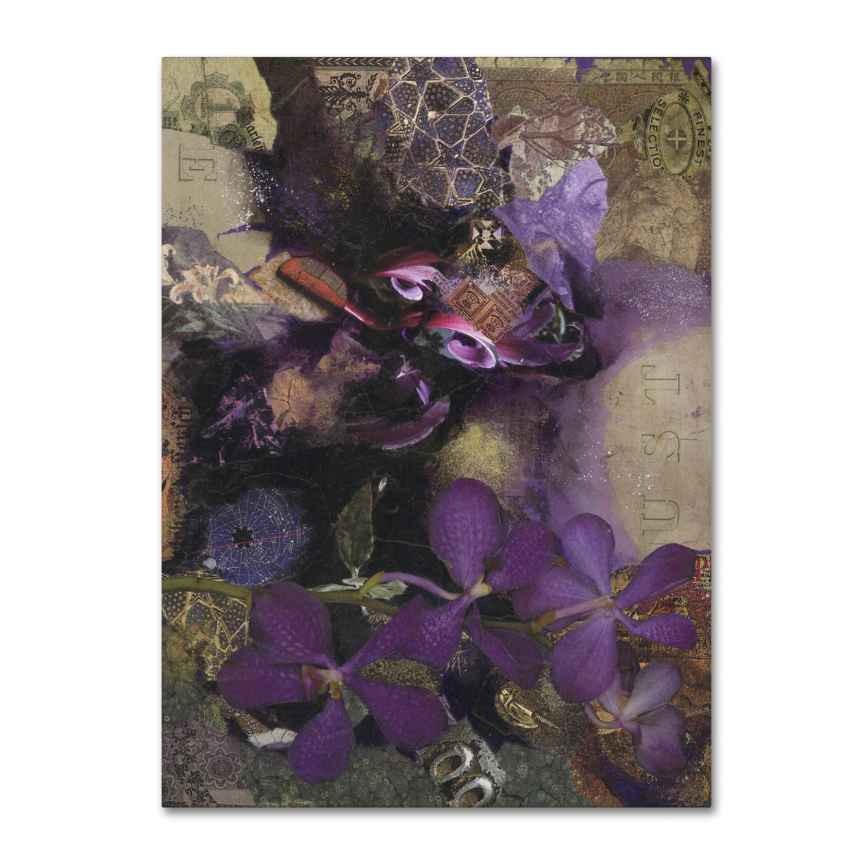 Nick Bantock 'Purple Botanical' Canvas Art 18 X 24