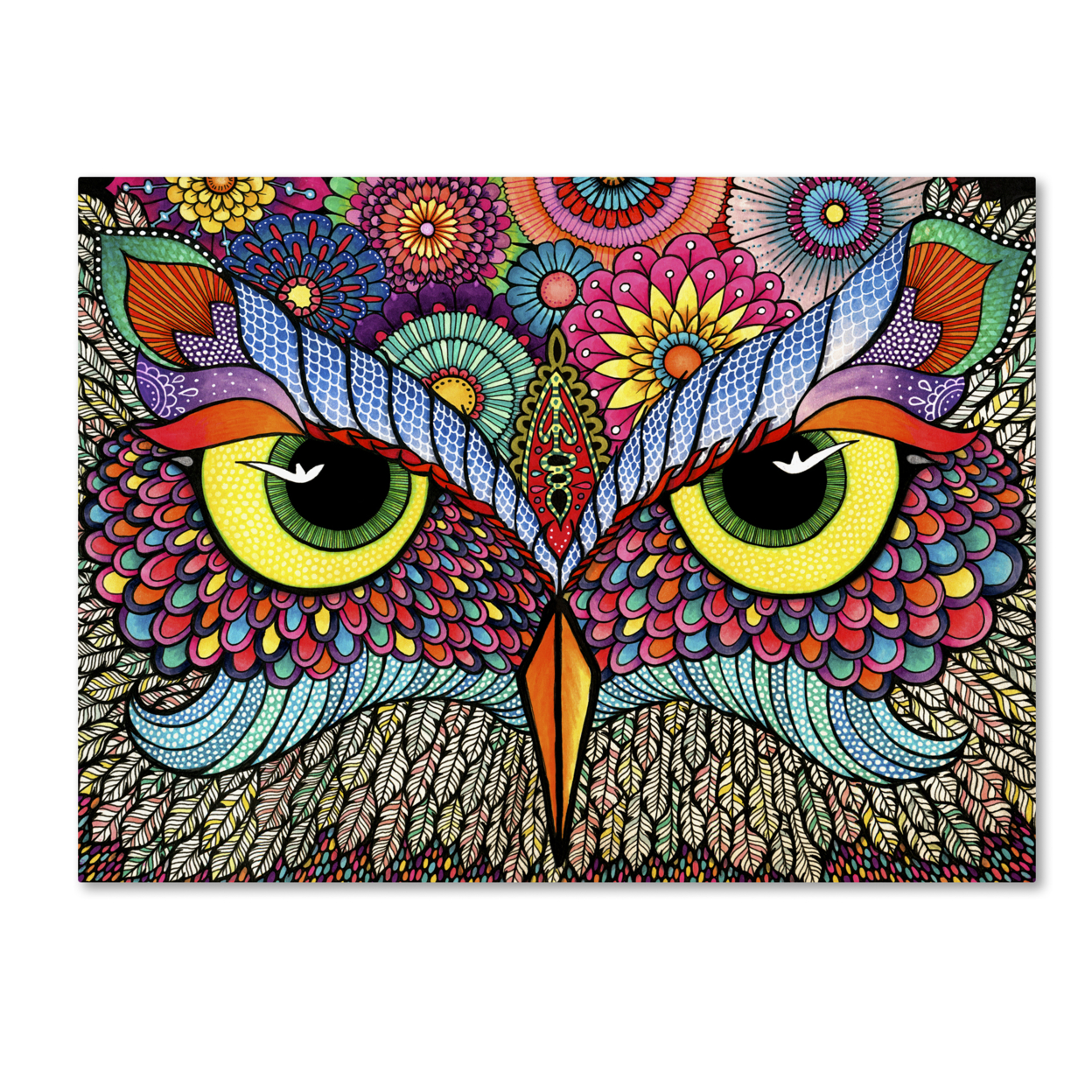 Hello Angel 'Owl Face' Canvas Art 18 X 24