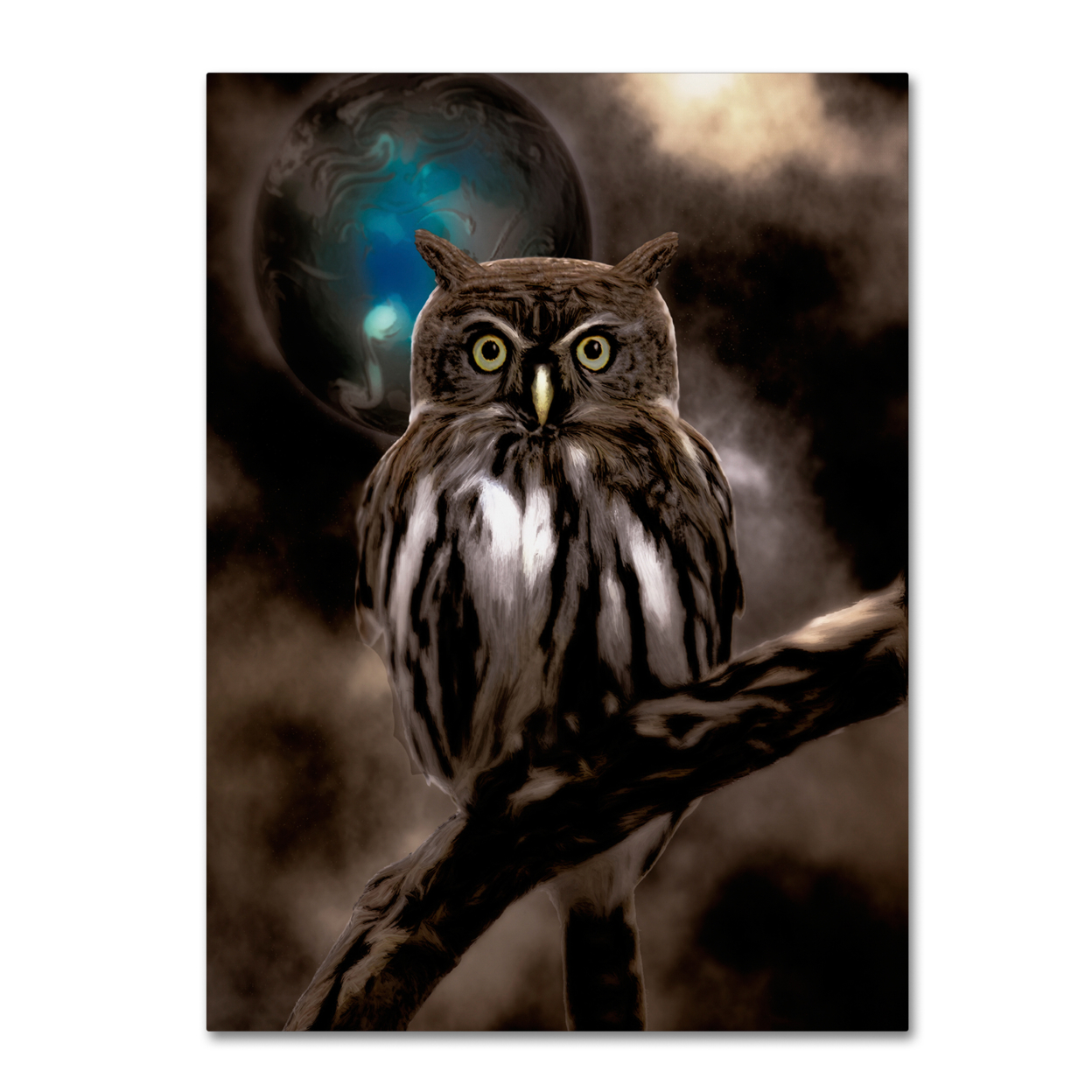 Color Bakery 'Night Owl' Canvas Art 18 X 24