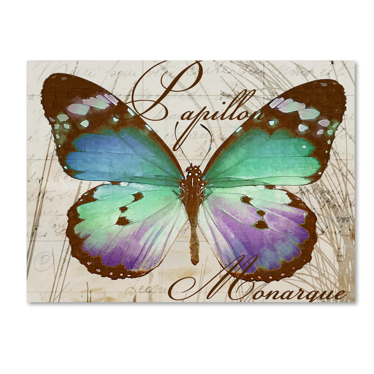 Color Bakery 'Papillon I' Canvas Art 18 X 24