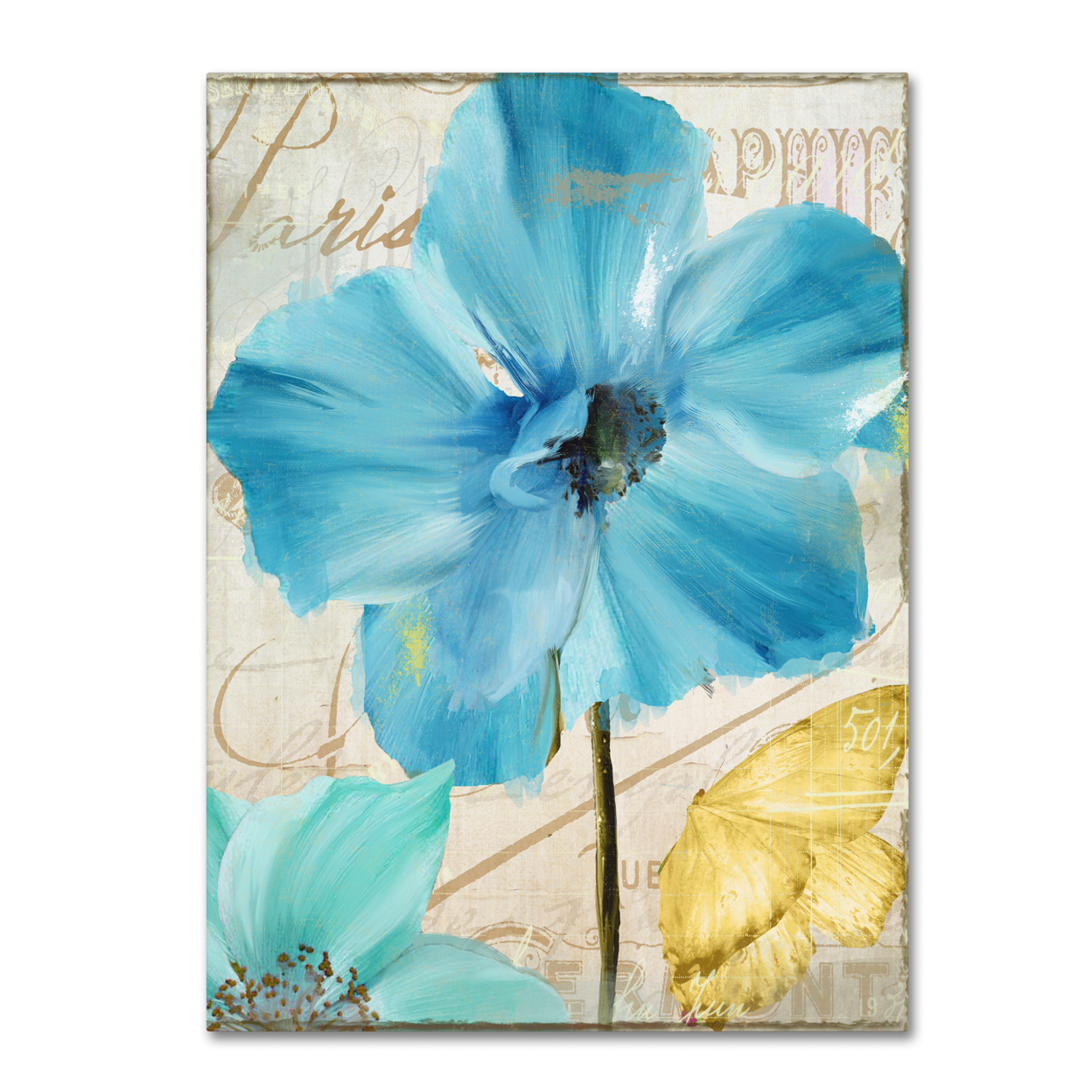 Color Bakery 'Blue Mountain Poppy' Canvas Art 18 X 24