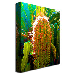 Amy Vangsgard 'Tall Cactus' Canvas Art 18 X 24