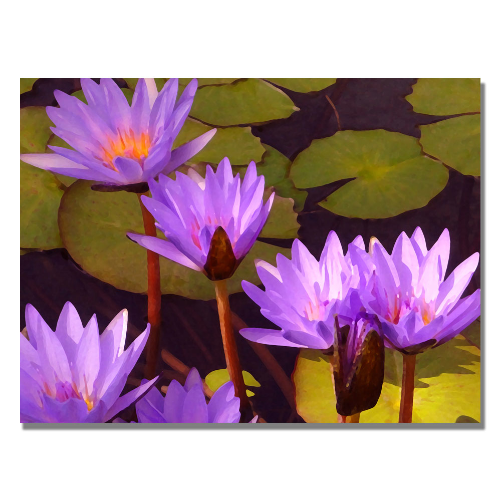 Amy Vangsgard 'Water Lilies' Canvas Art 18 X 24