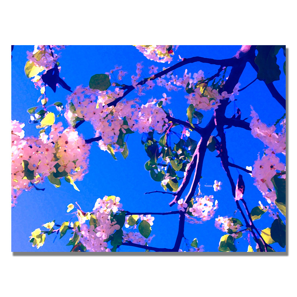 Amy Vangsgard ' Pink Flowering' Canvas Art 18 X 24