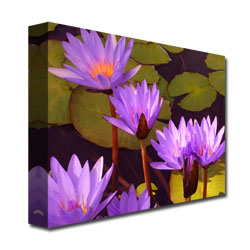 Amy Vangsgard 'Water Lilies' Canvas Art 18 X 24