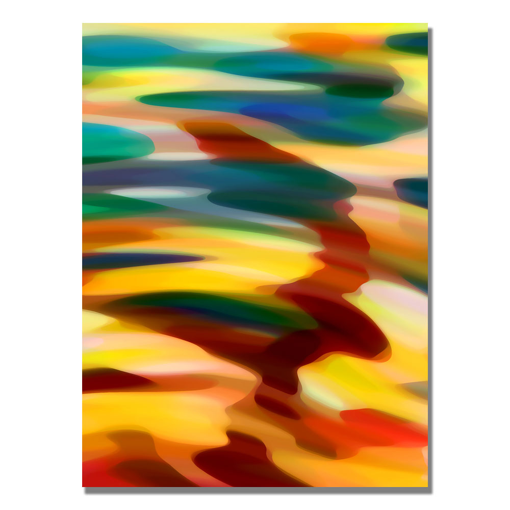 Amy Vangsgard 'Color Fury' Canvas Art 18 X 24