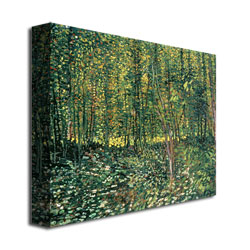 Vincent Van Gogh 'Trees And Undergrowth, 1887' Canvas Art 18 X 24