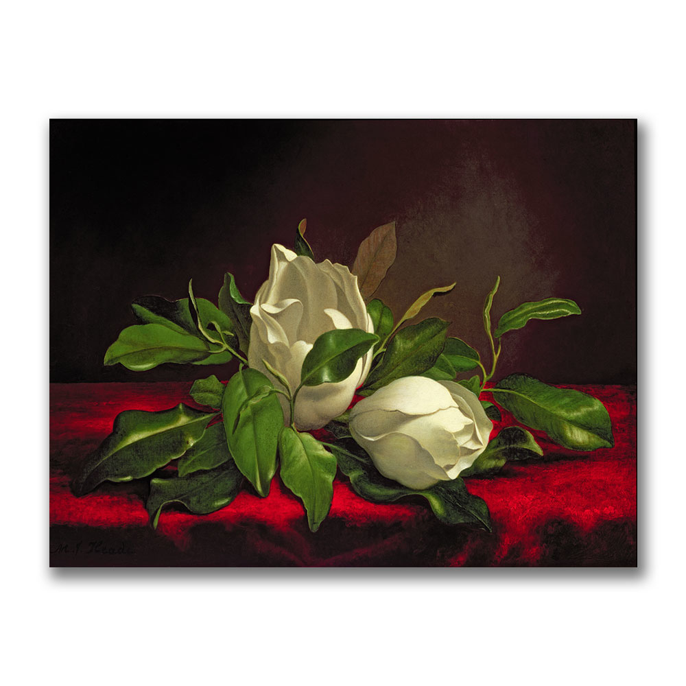 Martin Heade 'Magnolia' Canvas Art 18 X 24