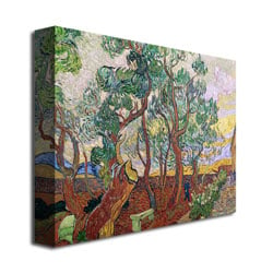 Vincent Van Gogh 'The Garden Of St. Paul' Canvas Art 18 X 24