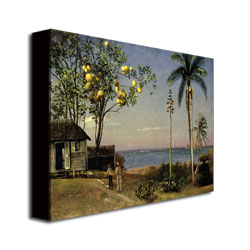 Albert Biersdant 'Tropical Scene' Canvas Art 18 X 24
