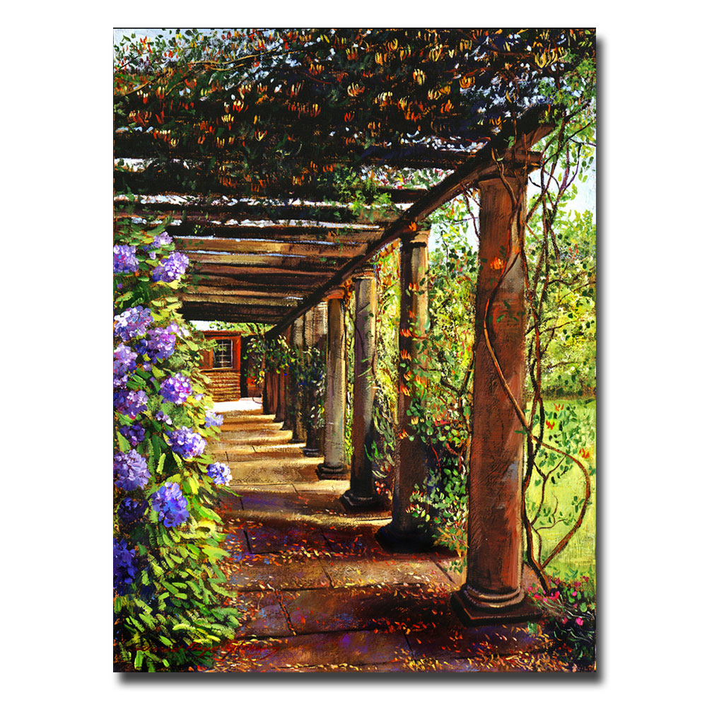 David Lloyd Glover 'Pergola Walkway' Canvas Art 18 X 24
