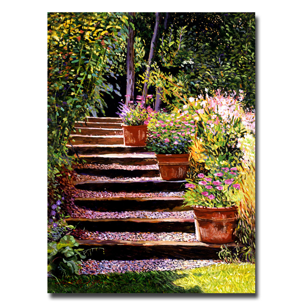 David Lloyd Glover 'Pink Daisies Wooden Steps' Canvas Art 18 X 24