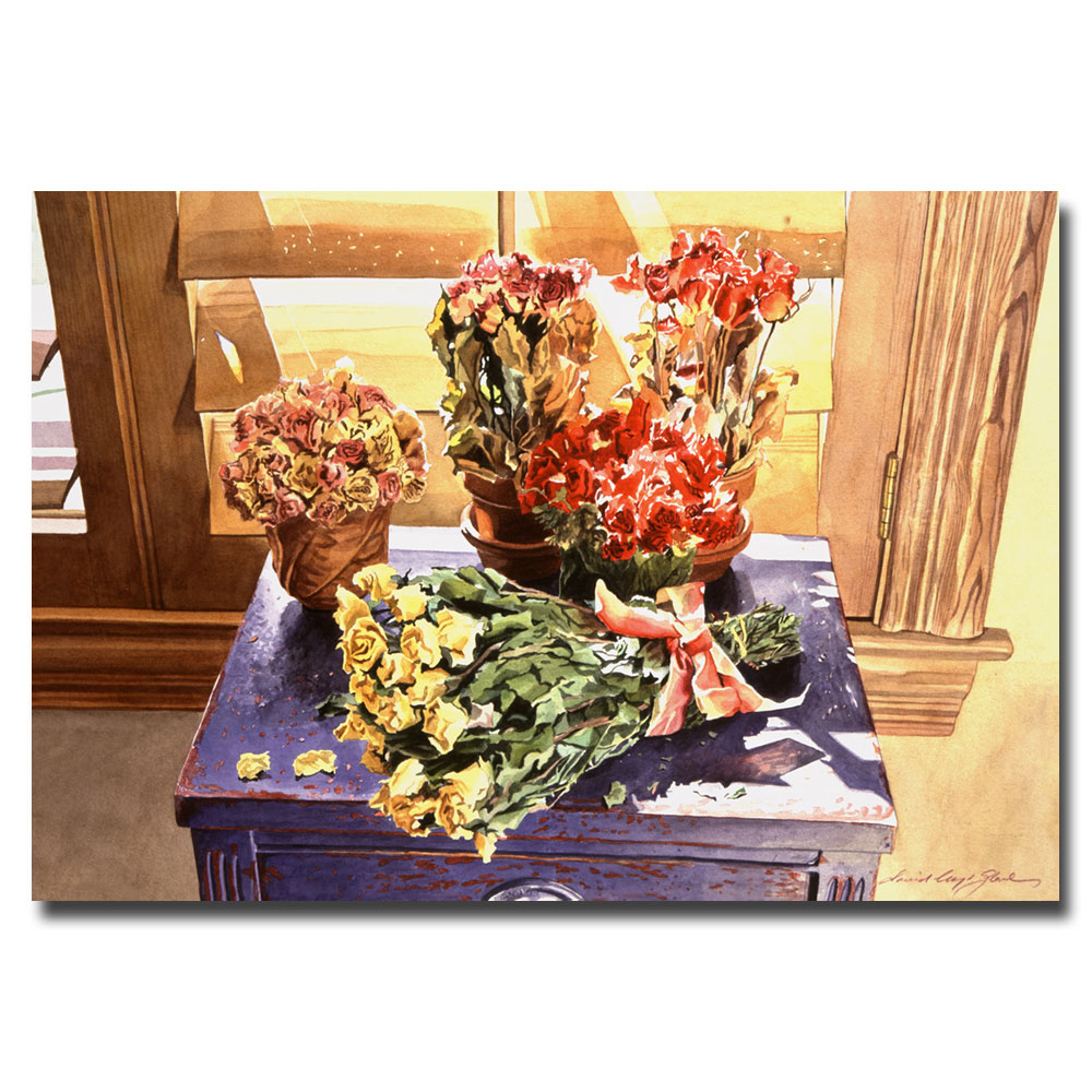 David Lloyd Glover 'Sunshine Roses' Canvas Art 18 X 24
