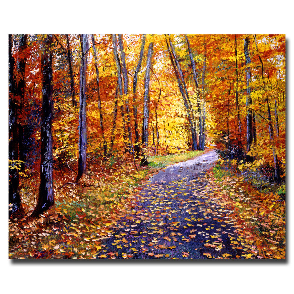 David Lloyd Glover 'Leaf Covered Road' Canvas Art 18 X 24