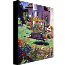 David Lloyd Glover 'Color Garden Impression' Canvas Art 18 X 24