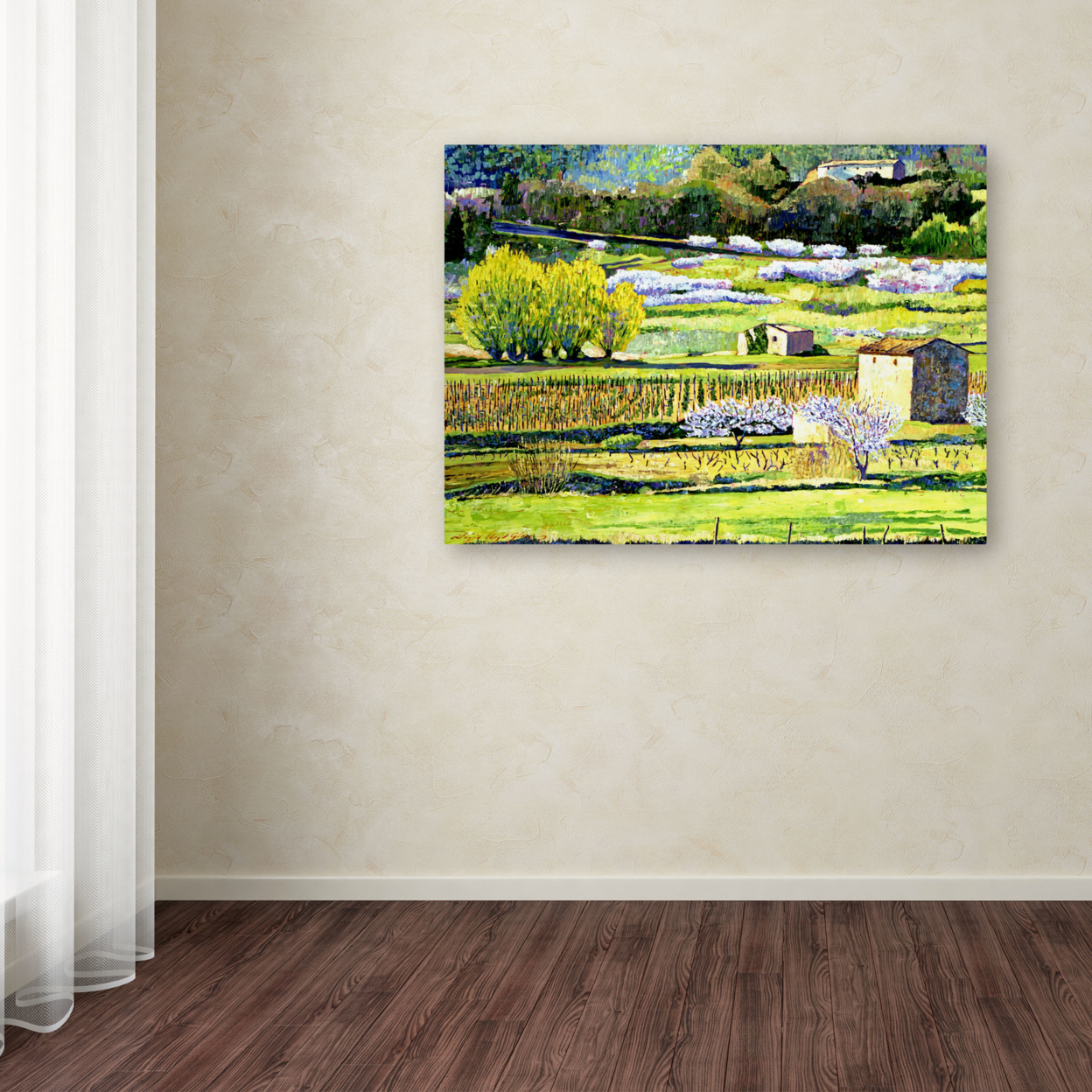 David Lloyd Glover 'Bordeaux Vineyards In Spring' Canvas Art 18 X 24