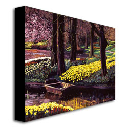 David Lloyd Glover 'Daffodil Park' Canvas Art 18 X 24
