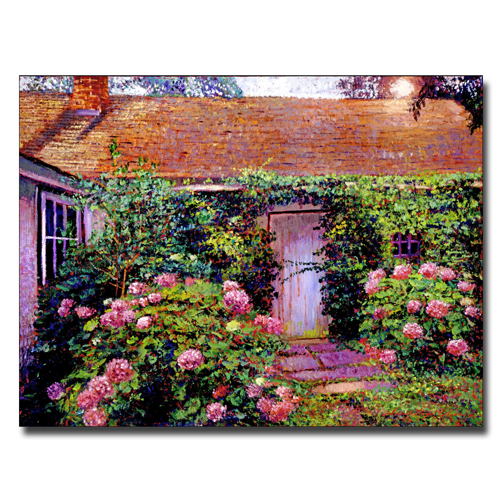 David Lloyd Glover 'Hydrangea Cottage' Canvas Art 18 X 24