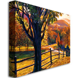 David Lloyd Glover 'Autumn Fire Colors' Canvas Art 18 X 24
