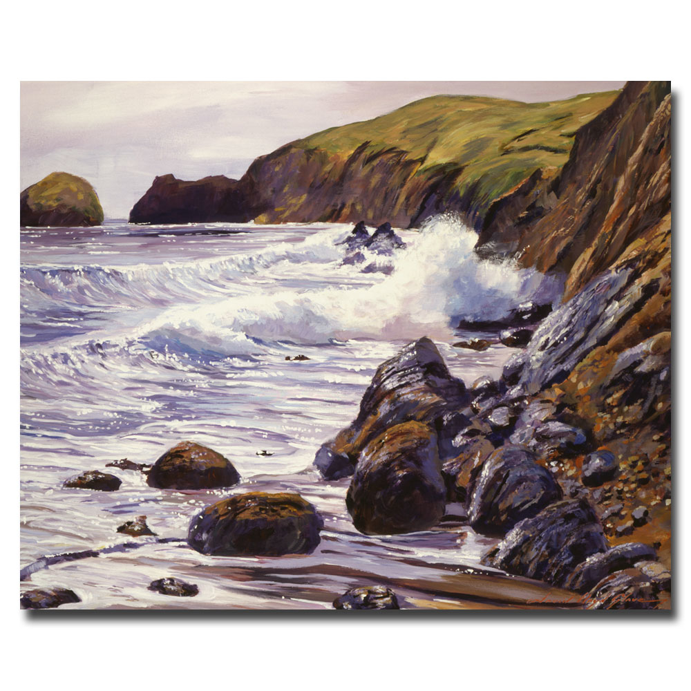 David Lloyd Glover 'Summer Sea' Canvas Art 18 X 24