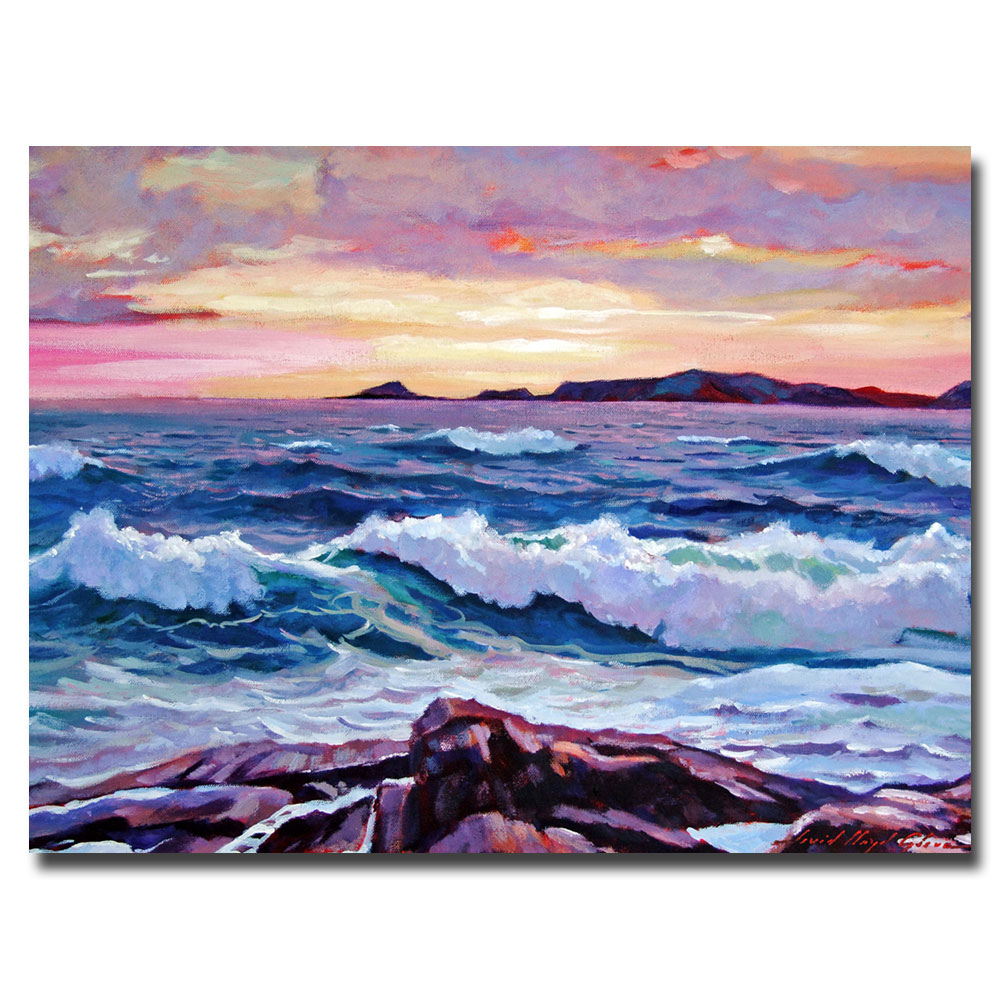 David Lloyd Glover 'California Sunset' Canvas Art 18 X 24