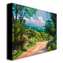 David Lloyd Glover 'The Tuscany Hills' Canvas Art 18 X 24
